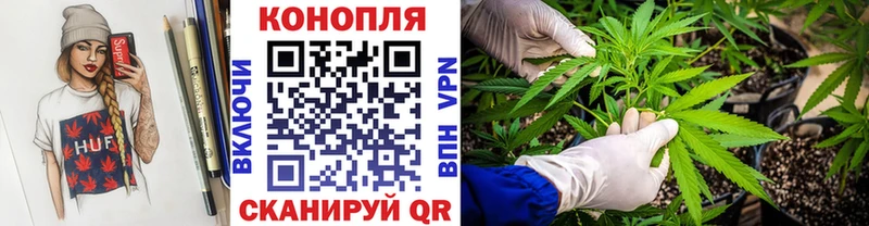 Марихуана Amnesia  это как зайти  Санкт-Петербург  цена наркотик  мега зеркало 